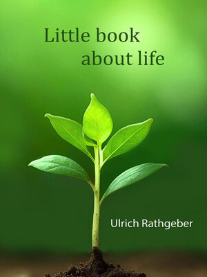 cover image of Little book about life